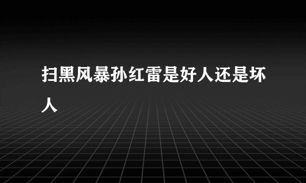 扫黑风暴孙红雷是好人还是坏人