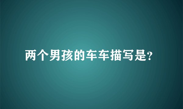 两个男孩的车车描写是？