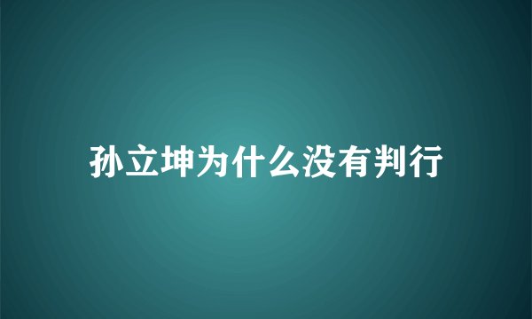 孙立坤为什么没有判行