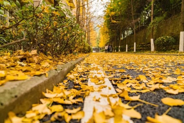 重庆冬天冷还是杭州冷