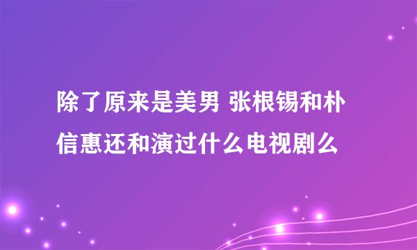 除了原来是美男 张根锡和朴信惠还和演过什么电视剧么