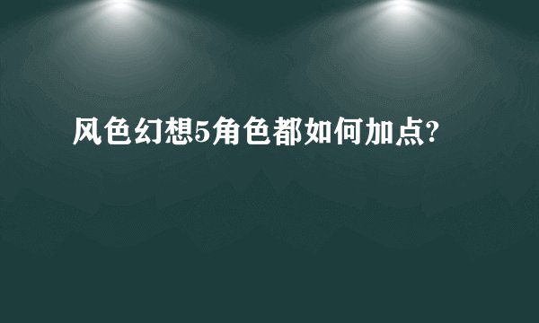 风色幻想5角色都如何加点?