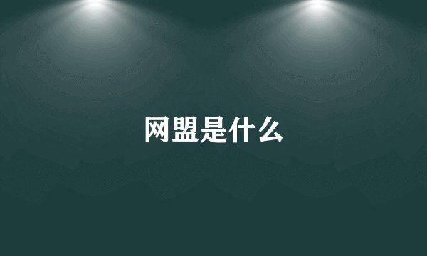 网盟是什么