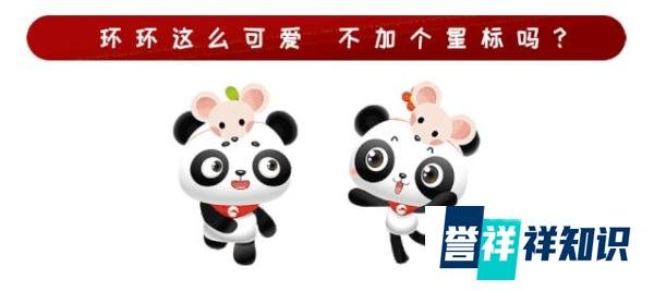 虐猫男大学生，被退学。
