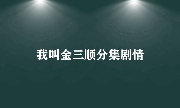 我叫金三顺分集剧情