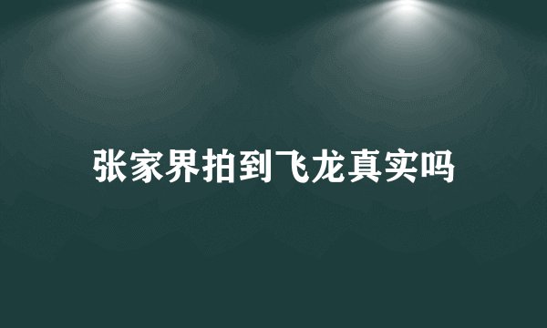 张家界拍到飞龙真实吗