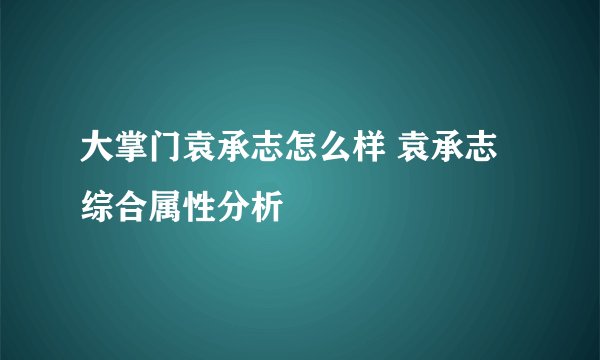 大掌门袁承志怎么样 袁承志综合属性分析