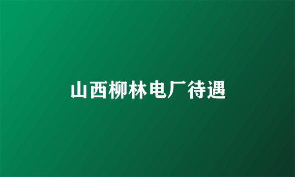 山西柳林电厂待遇