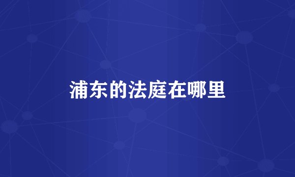浦东的法庭在哪里