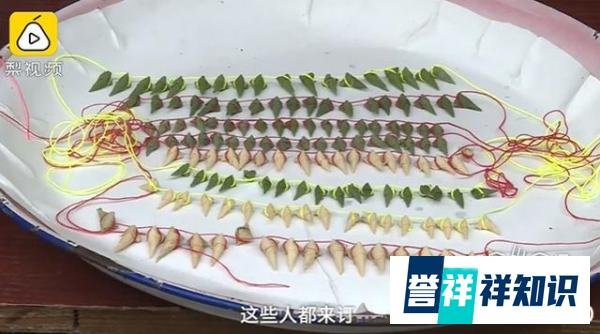 重庆女子做最小粽子仅用1粒米 这是咋情况?