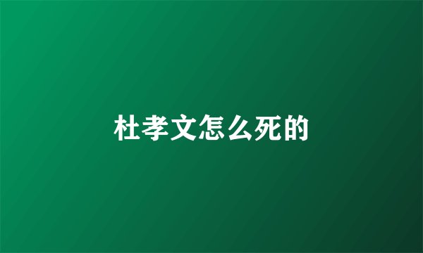 杜孝文怎么死的