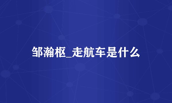 邹瀚枢_走航车是什么