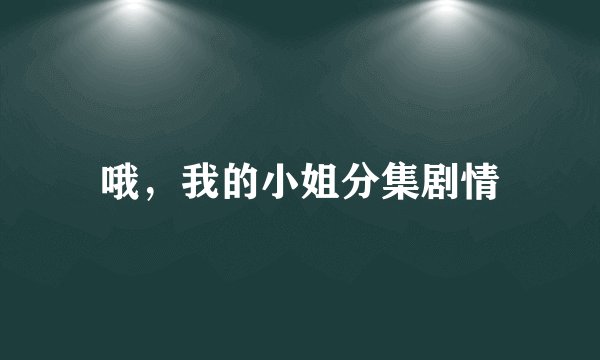 哦，我的小姐分集剧情