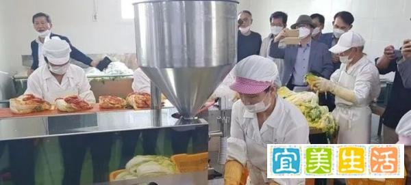 韩国泡菜工厂出现集体感染！顿顿离不开泡菜的韩国人这回完了！