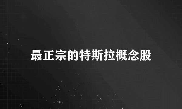 最正宗的特斯拉概念股