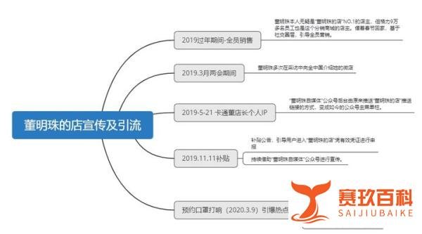 董明珠的店营销策略调研