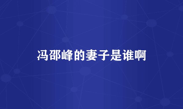 冯邵峰的妻子是谁啊