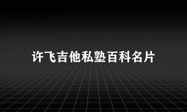 许飞吉他私塾百科名片