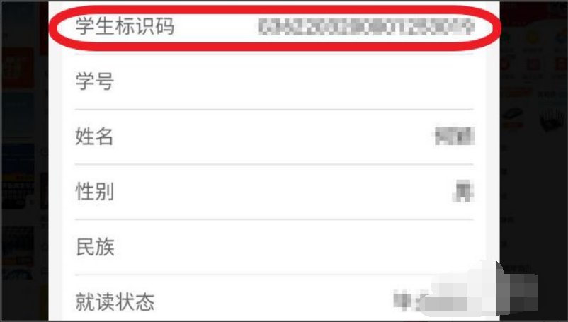 输入身份证号查学籍号?