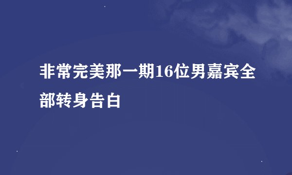 非常完美那一期16位男嘉宾全部转身告白