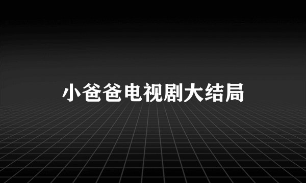 小爸爸电视剧大结局