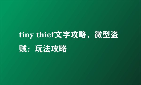 tiny thief文字攻略，微型盗贼：玩法攻略