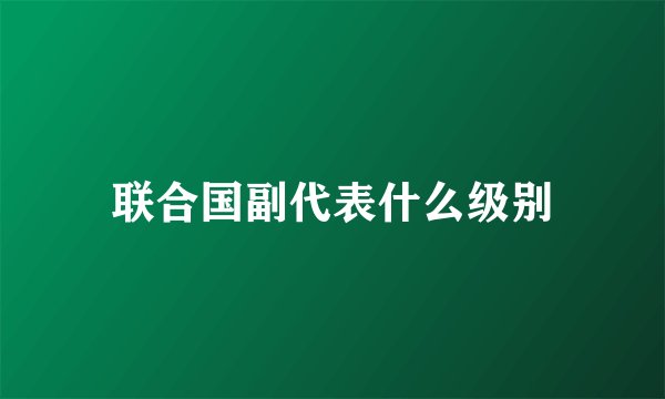 联合国副代表什么级别