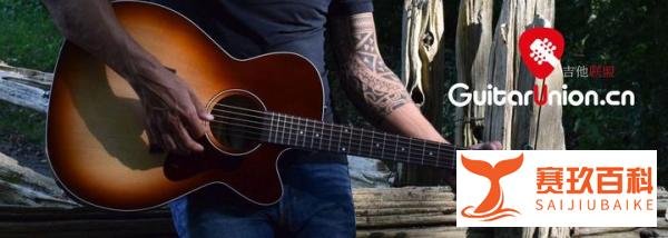 【名琴百科】Seagull Guitars 海鸥吉他来自加拿大的自然之声