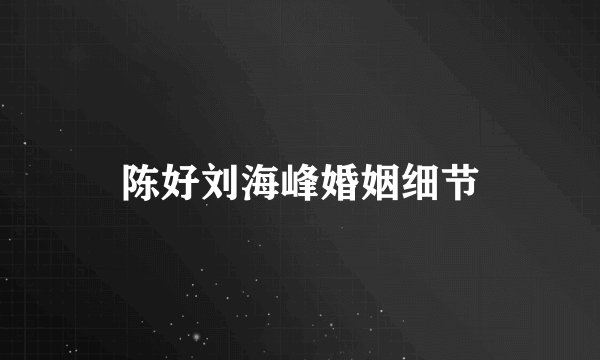 陈好刘海峰婚姻细节