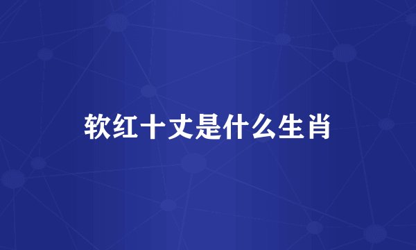 软红十丈是什么生肖