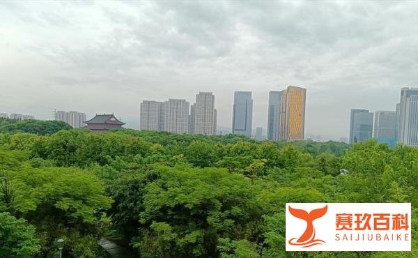 燃油继续涨价 还能“喜迎油价上涨”