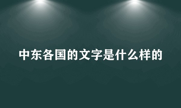 中东各国的文字是什么样的