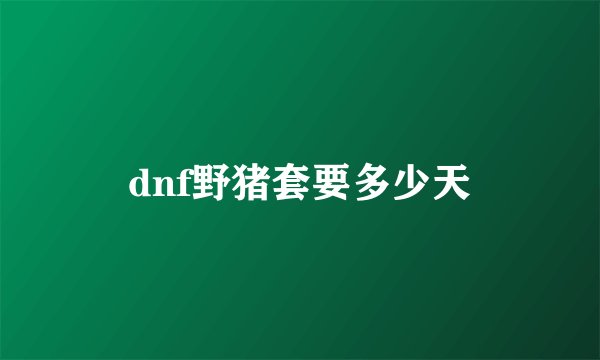 dnf野猪套要多少天