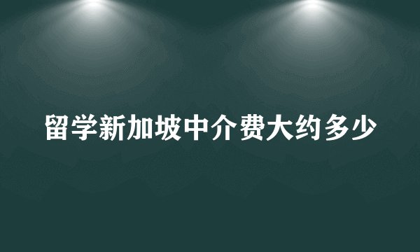 留学新加坡中介费大约多少