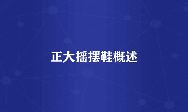 正大摇摆鞋概述