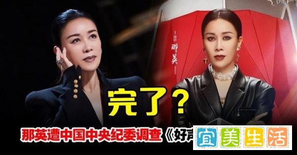 那英也被推上风口浪尖，遭中国中央纪委调查，放弃积累多年的地位