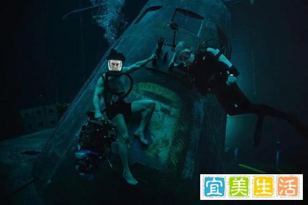 阿汤哥63岁高空扒飞机！《碟8》三天破1.34亿，端午档成好莱坞标杆