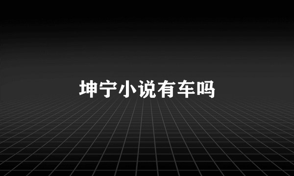 坤宁小说有车吗