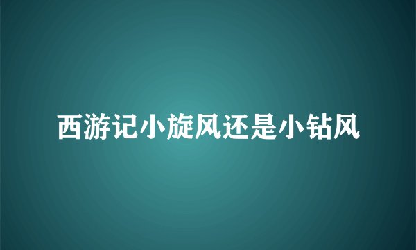 西游记小旋风还是小钻风