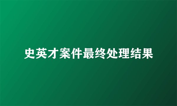 史英才案件最终处理结果