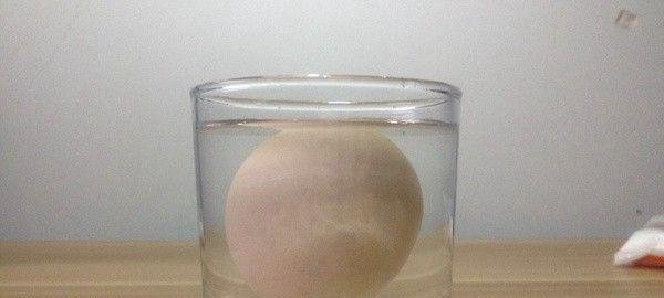 死海不死的秘密