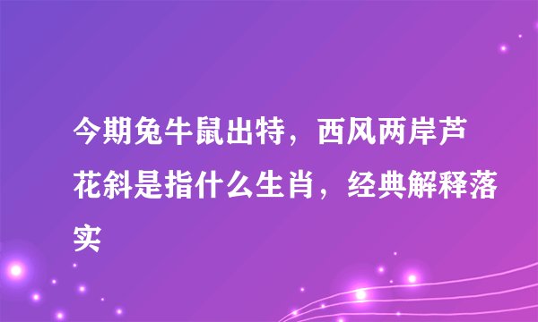 今期兔牛鼠出特，西风两岸芦花斜是指什么生肖，经典解释落实