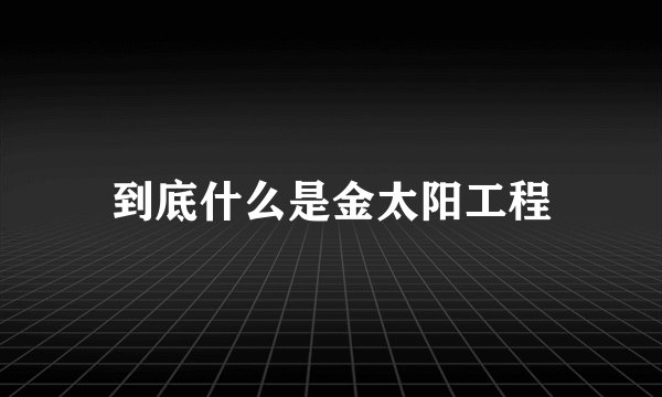到底什么是金太阳工程