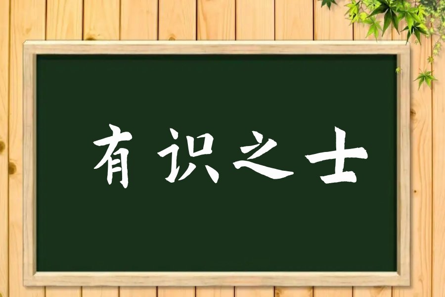 有识之士是什么意思
