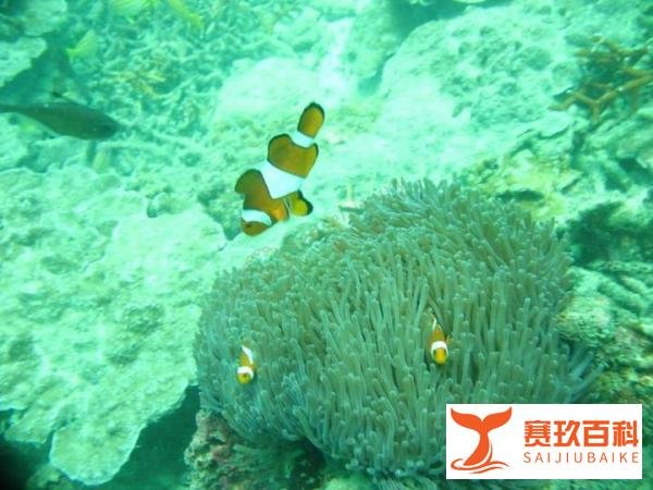 去泰国普吉岛游玩要多少钱,说出来惊呆你