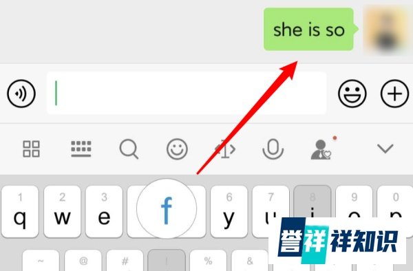 微信she is so怎么翻译?