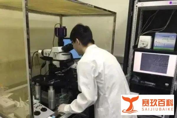 “韦神馒头”被注册,北大数学院院长出面回应,光明正大护短!
