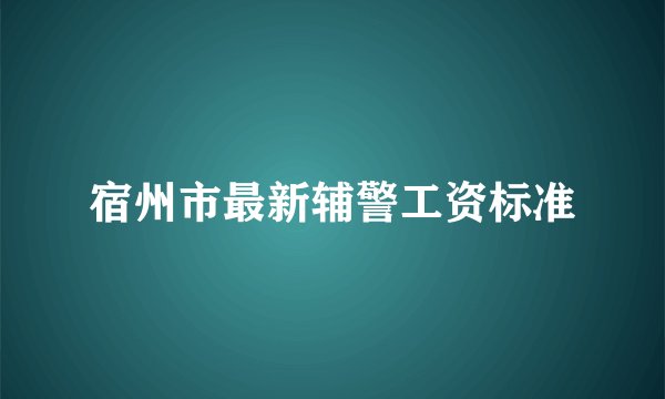 宿州市最新辅警工资标准