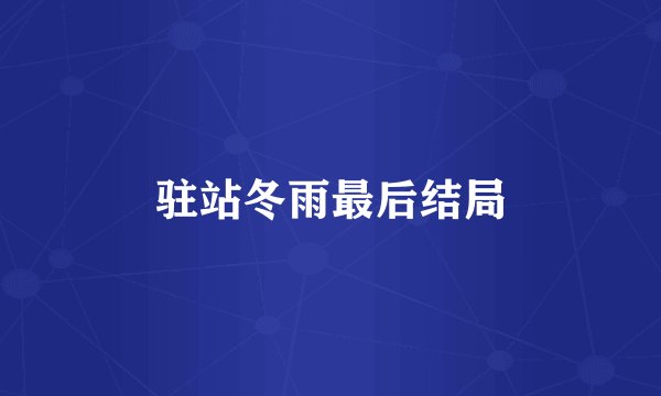 驻站冬雨最后结局