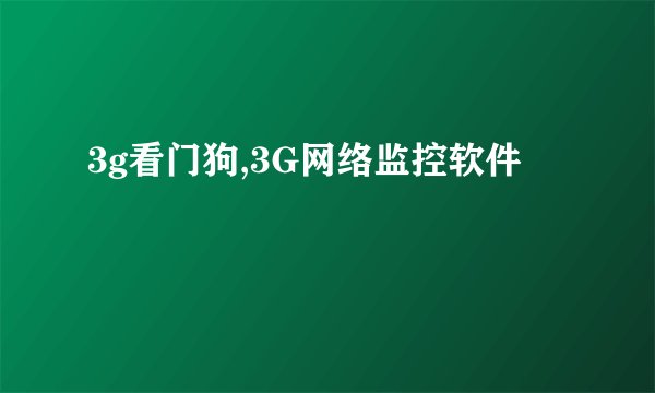 3g看门狗,3G网络监控软件